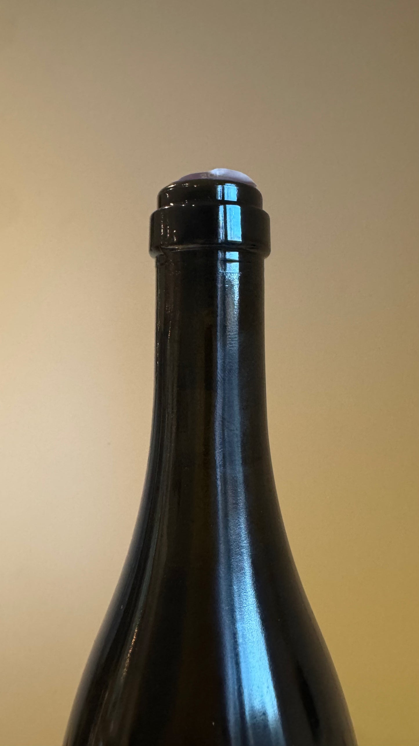 Domaine Didier Dagueneau Pur Sang 2020