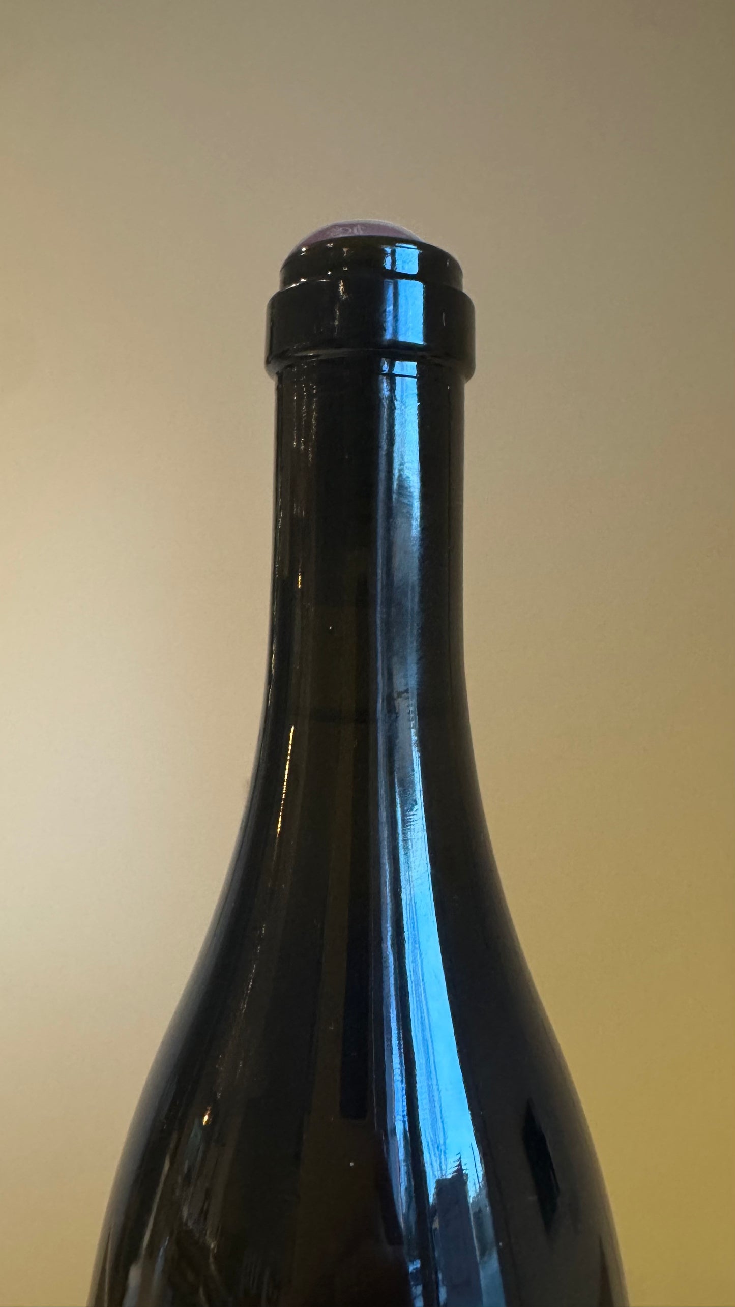 Domaine Didier Dagueneau, Le Mont Damné Chavignol 2022