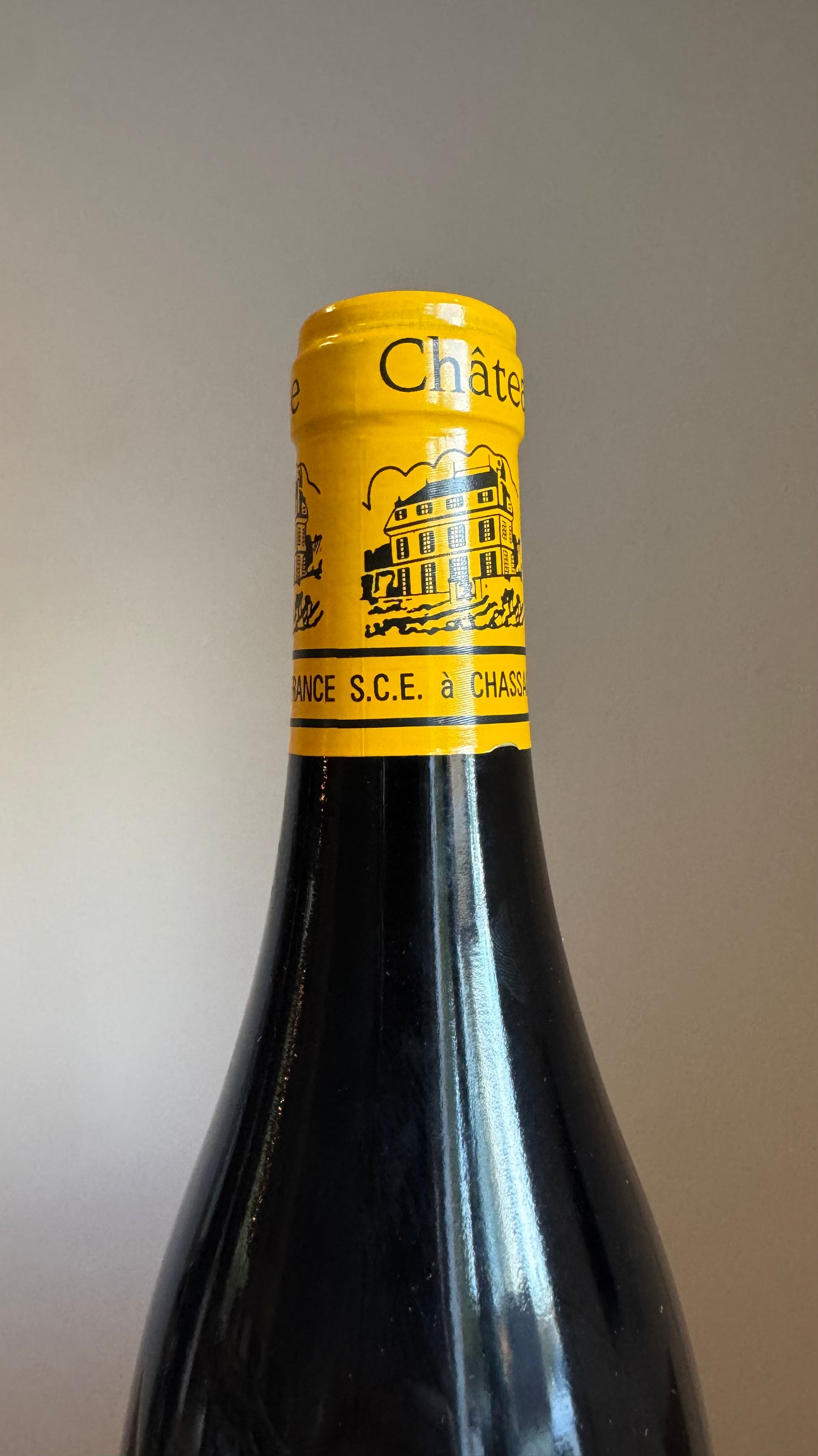 Chateau de la Maltroye Chassagne Montrachet 1er Cru "La dent de chien" 2021