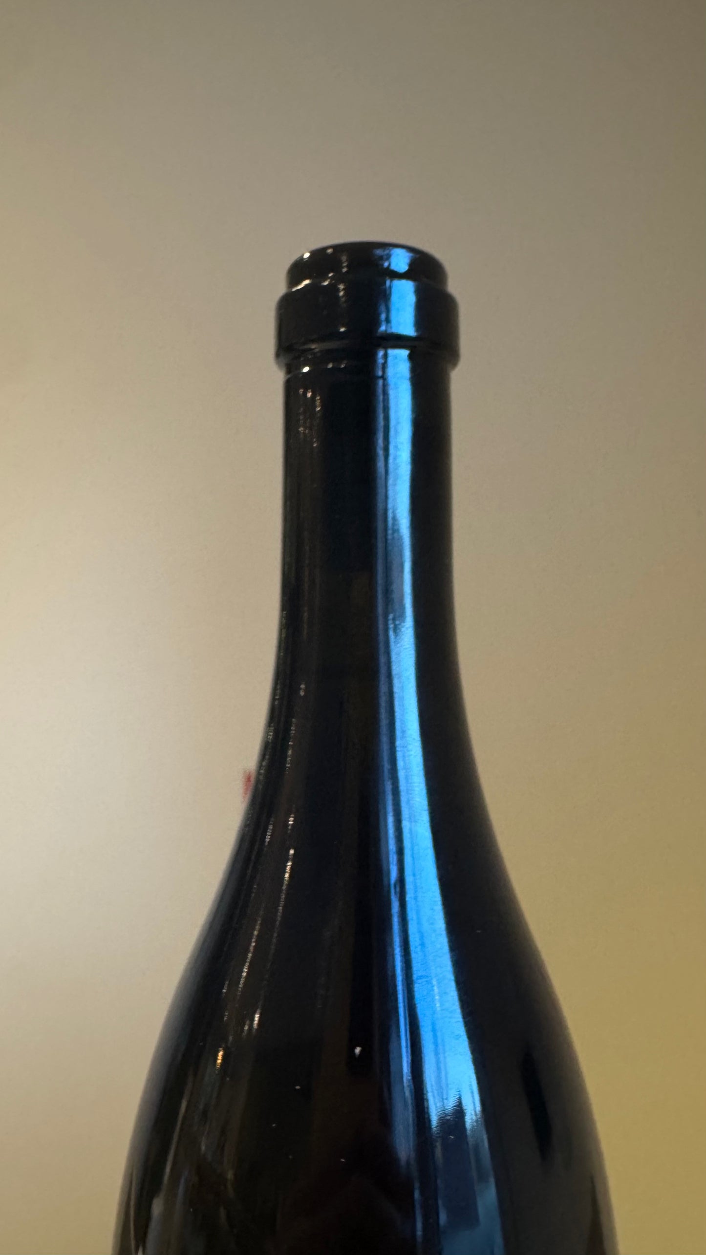 Domaine Didier Dagueneau Buisson Renard 2020