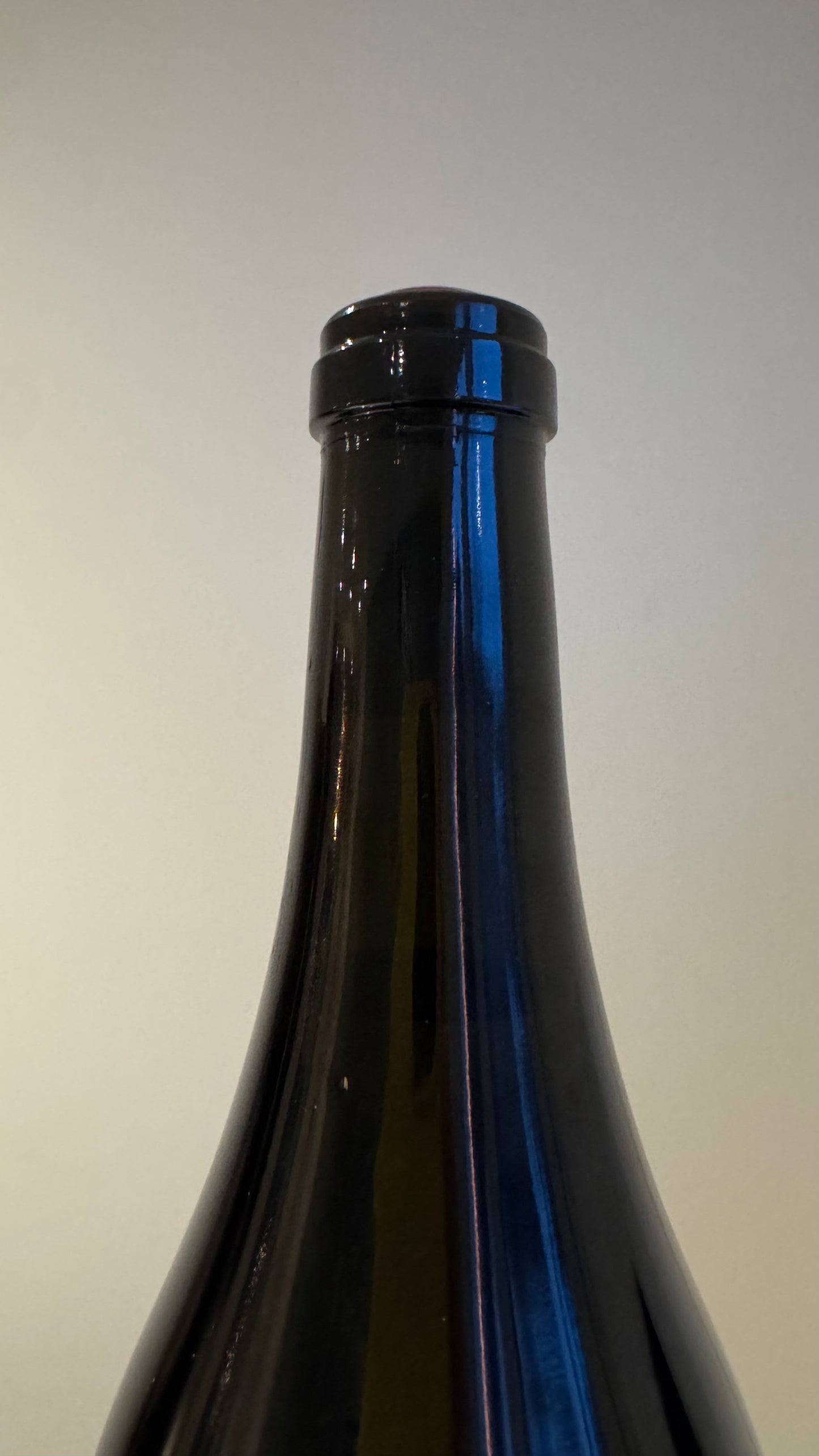 Domaine Didier Dagueneau Buisson Renard 2022